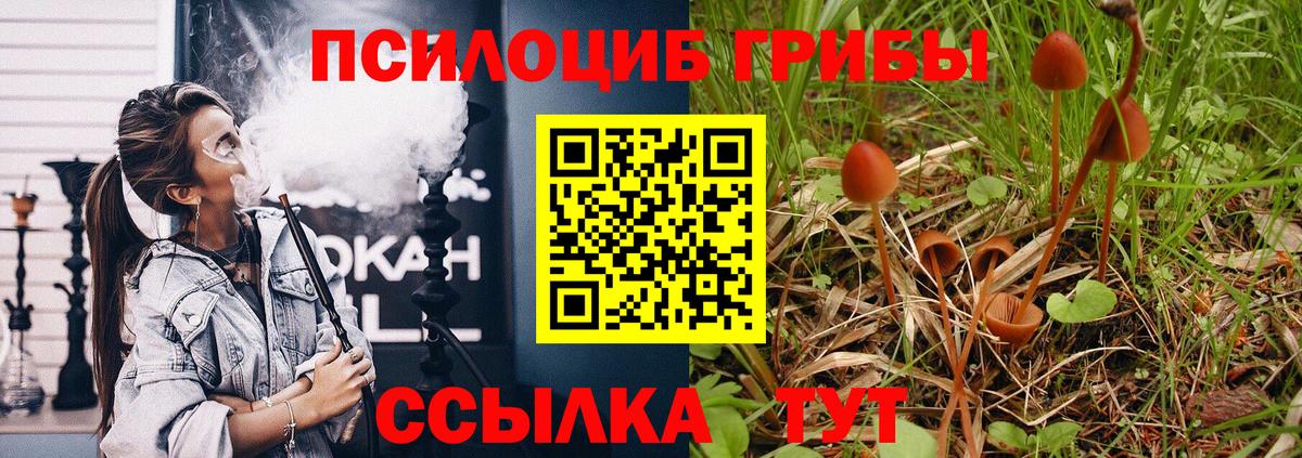 Галлюциногенные грибы Magic Shrooms Моздок