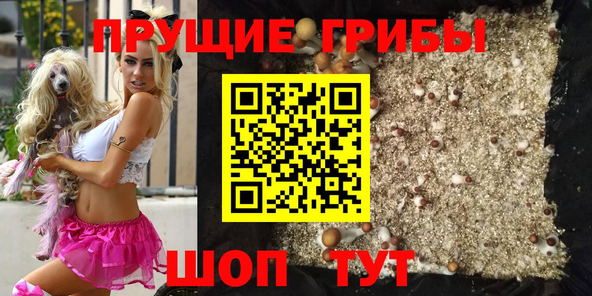 Моздок  Галлюциногенные грибы Psilocybe  Вход с VPN 